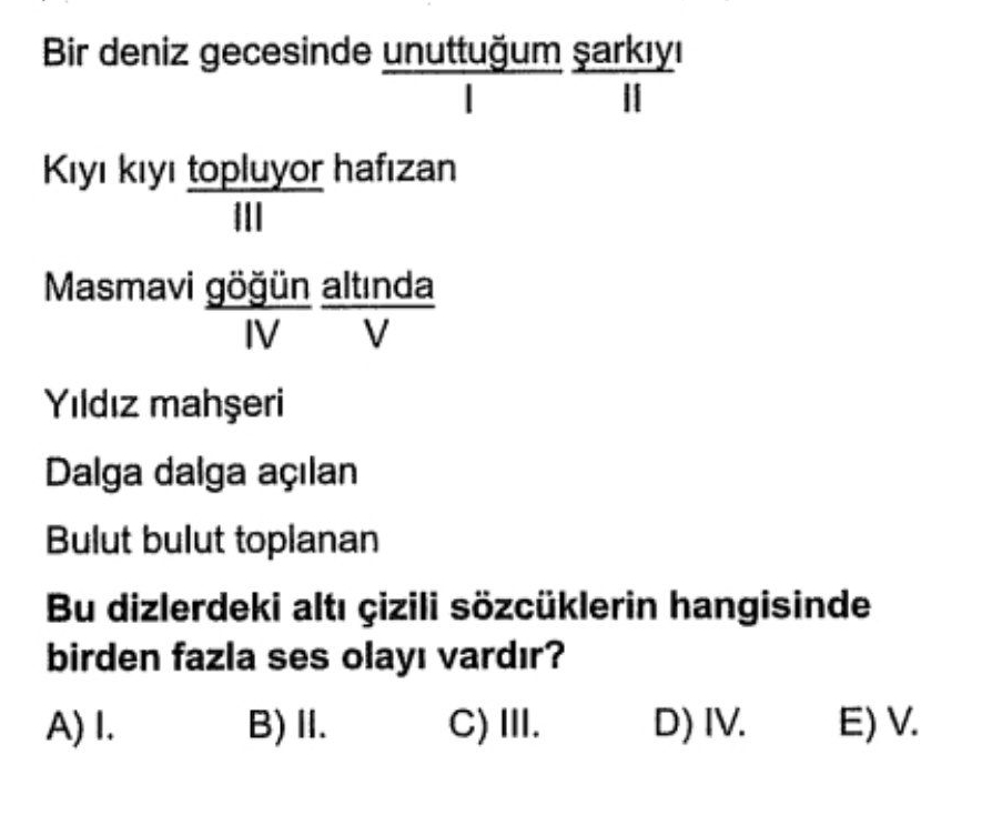 Soru Görseli