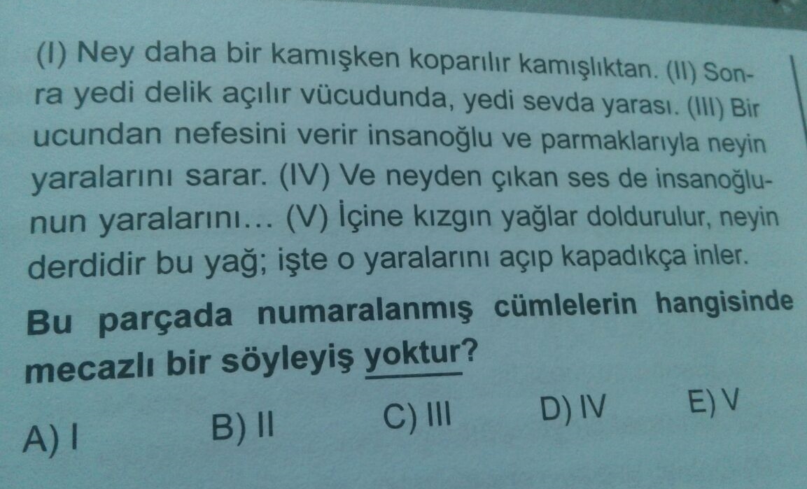 Soru Görseli