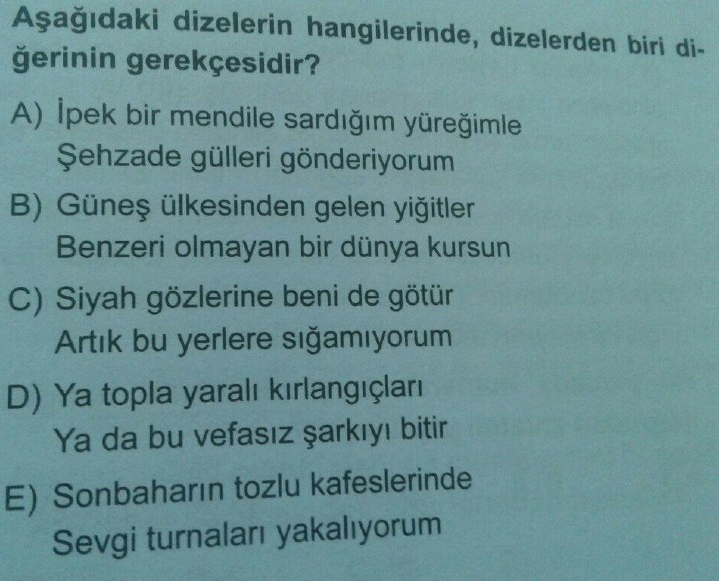Soru Görseli