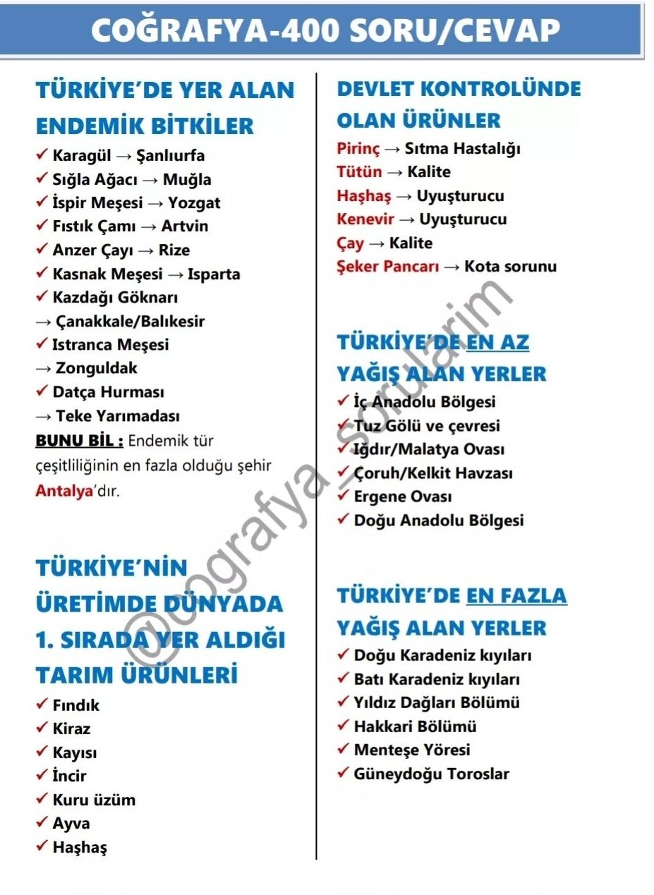 Soru Görseli