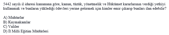 Soru Görseli