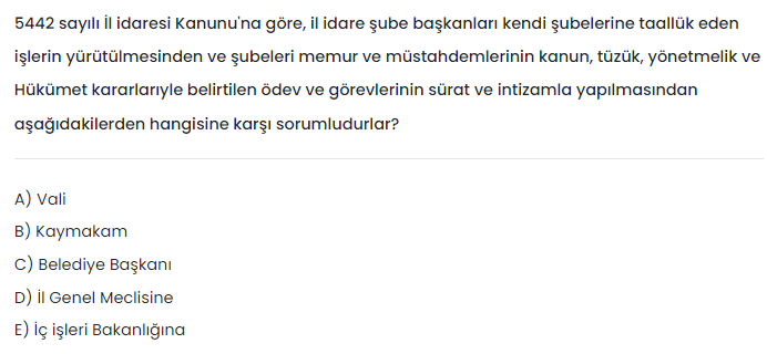 Soru Görseli